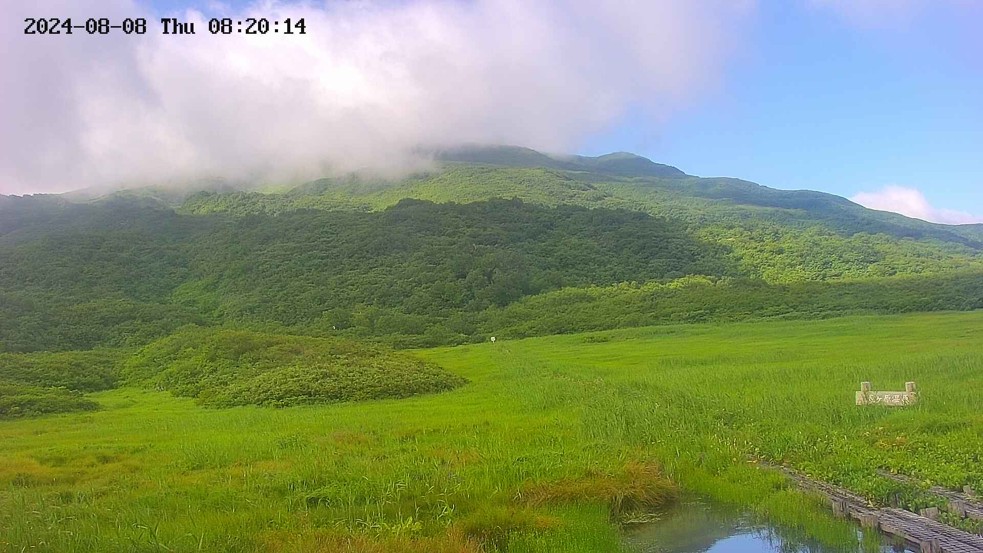 area1-20240808082015.jpg