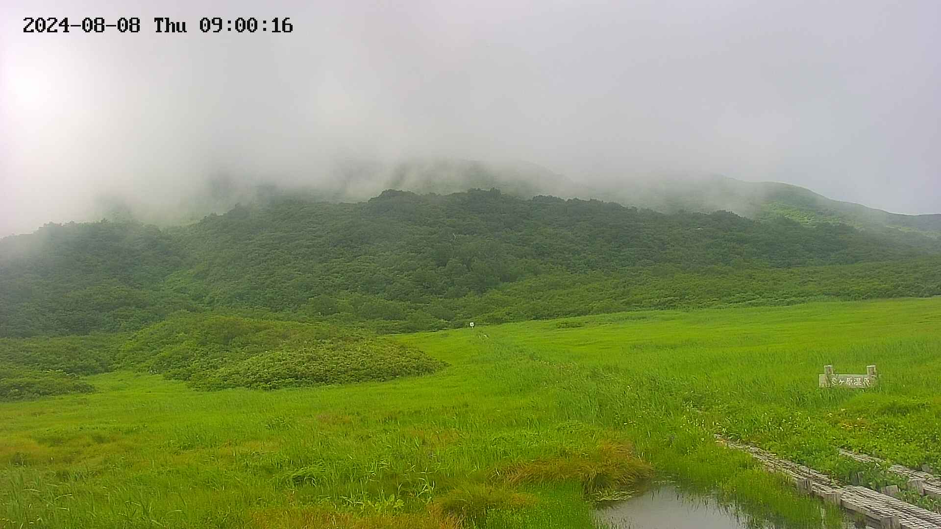 area1-20240808090016.jpg