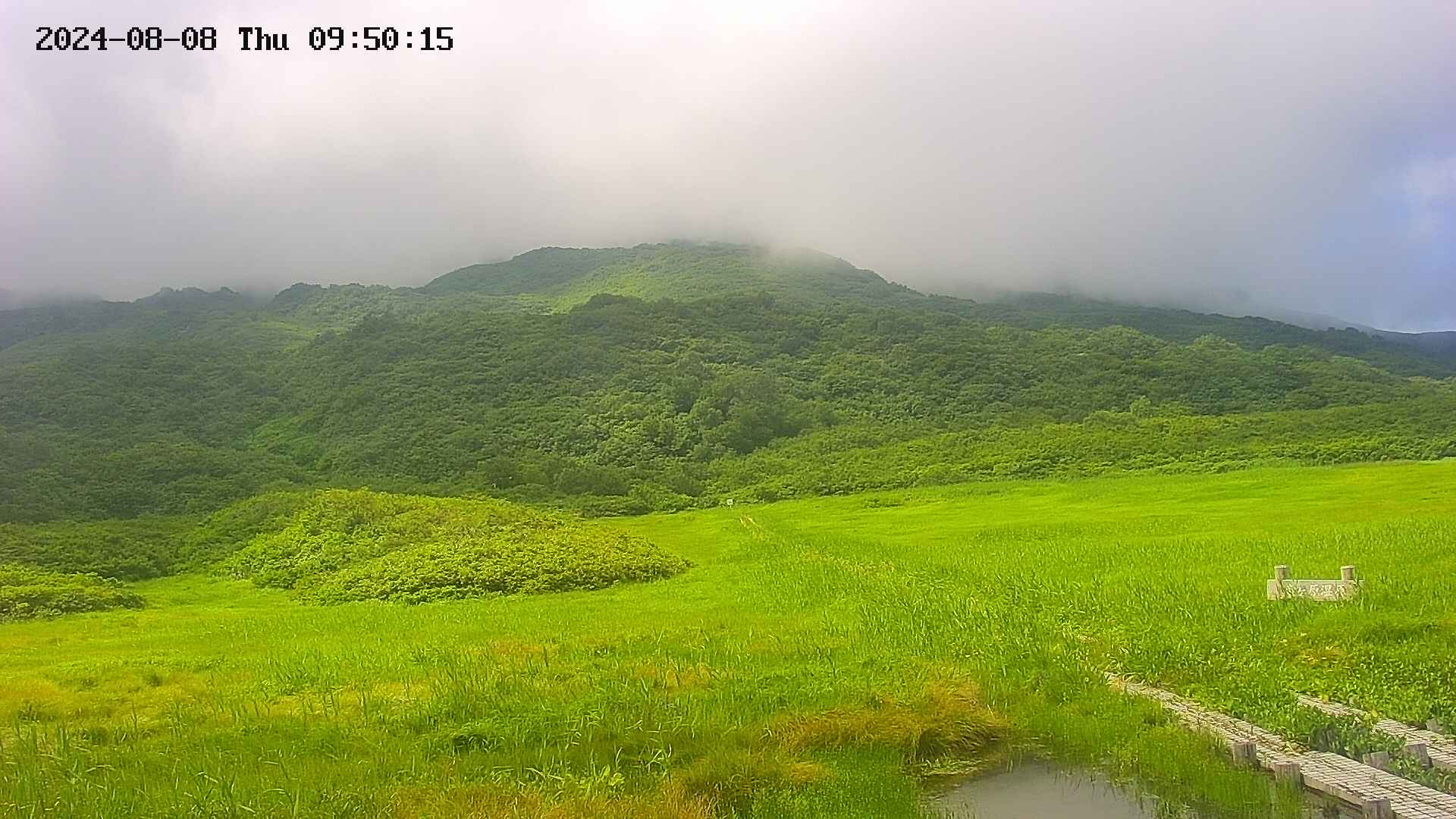 area1-20240808095015.jpg