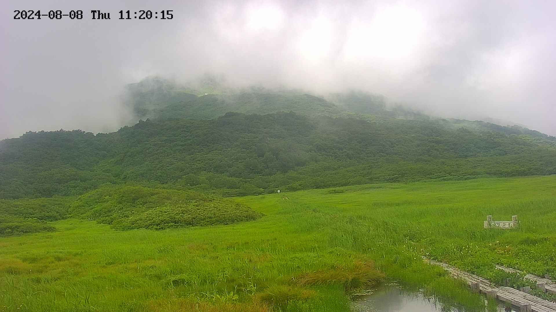 area1-20240808112015.jpg