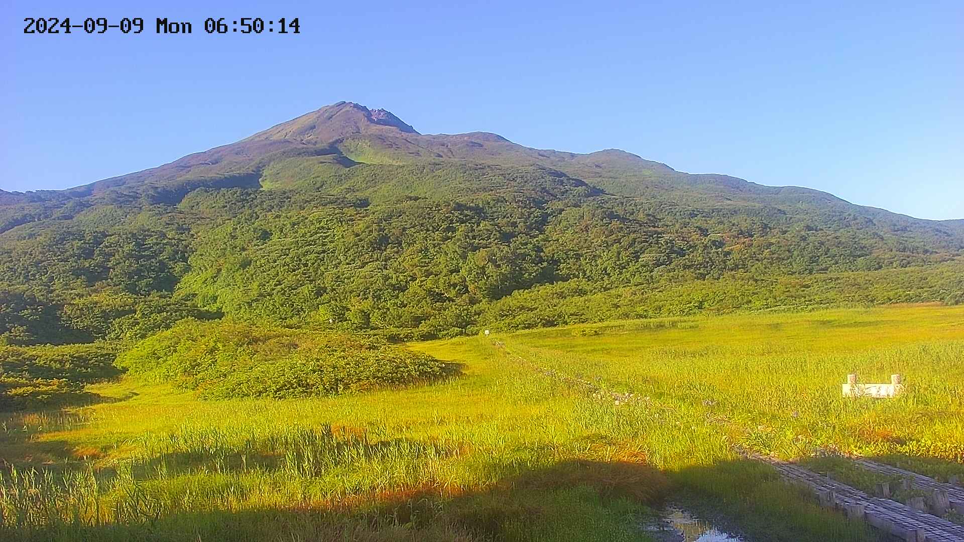 area1-20240909065015.jpg