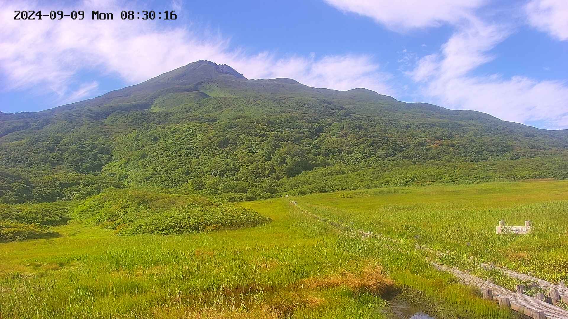 area1-20240909083017.jpg