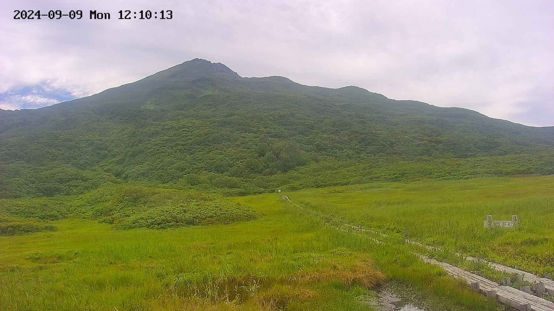 area1-20240909121014.jpg