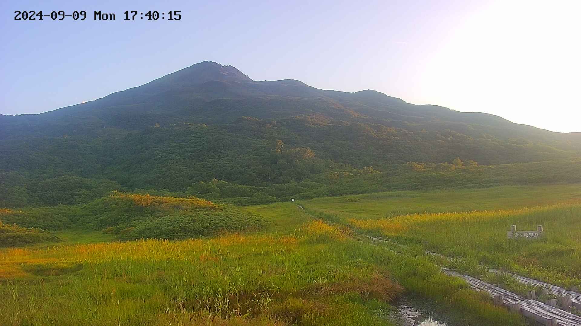 area1-20240909174016.jpg