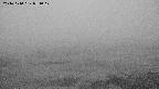 area1-20241010051014.jpg