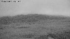 area1-20241010052017.jpg