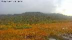 area1-20241010054015.jpg