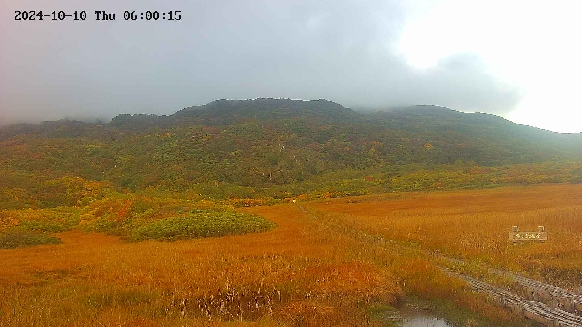 area1-20241010060016.jpg