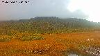 area1-20241010060016.jpg