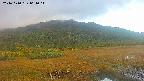 area1-20241010061015.jpg