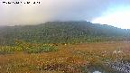 area1-20241010063015.jpg