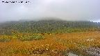 area1-20241010065014.jpg