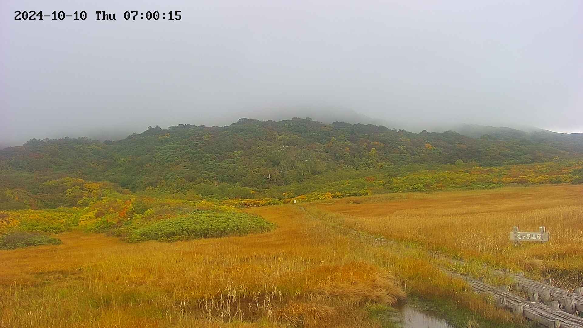 area1-20241010070016.jpg