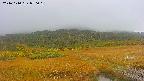area1-20241010070016.jpg