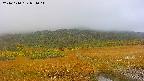 area1-20241010071015.jpg