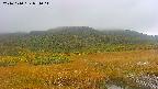 area1-20241010074015.jpg