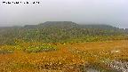 area1-20241010075015.jpg