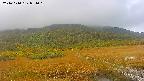 area1-20241010081014.jpg