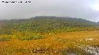 area1-20241010082016.jpg