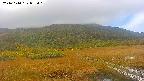 area1-20241010085015.jpg