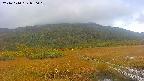 area1-20241010090015.jpg