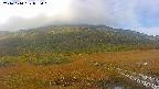 area1-20241010092016.jpg