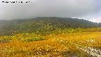 area1-20241010093015.jpg