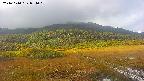 area1-20241010094015.jpg
