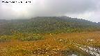 area1-20241010095016.jpg