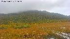 area1-20241010100016.jpg