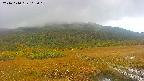 area1-20241010102017.jpg
