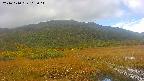 area1-20241010105016.jpg