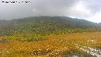 area1-20241010110016.jpg