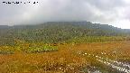 area1-20241010113017.jpg