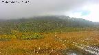 area1-20241010115015.jpg