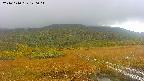 area1-20241010120016.jpg