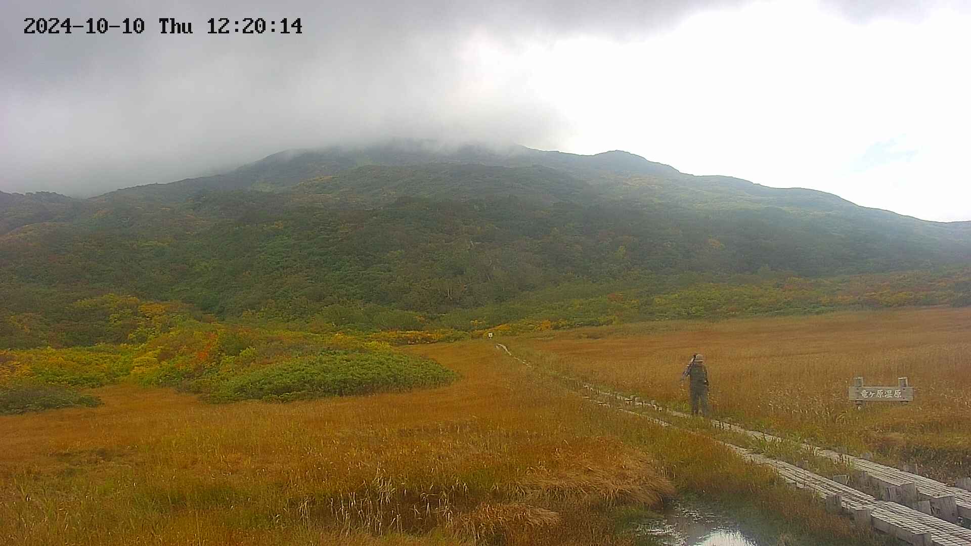 area1-20241010122016.jpg
