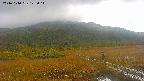 area1-20241010122016.jpg