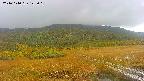 area1-20241010123017.jpg