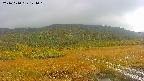 area1-20241010124015.jpg