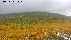 area1-20241010125014.jpg