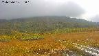 area1-20241010130018.jpg
