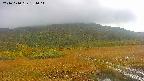 area1-20241010131017.jpg