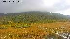 area1-20241010132015.jpg