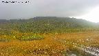 area1-20241010142015.jpg