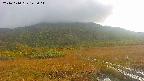 area1-20241010145016.jpg