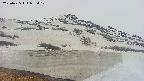 area1-20250425053019.jpg