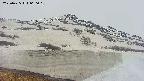 area1-20250425060017.jpg