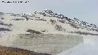 area1-20250425062017.jpg