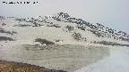 area1-20250425063017.jpg